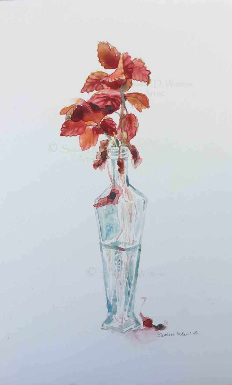 Coleus-Cutting,-Susan-Duke-Waters