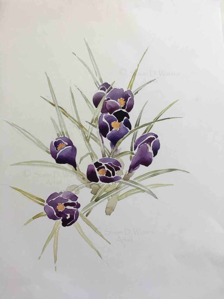 Crocus-in-Snow-II,-Susan-Duke-Waters