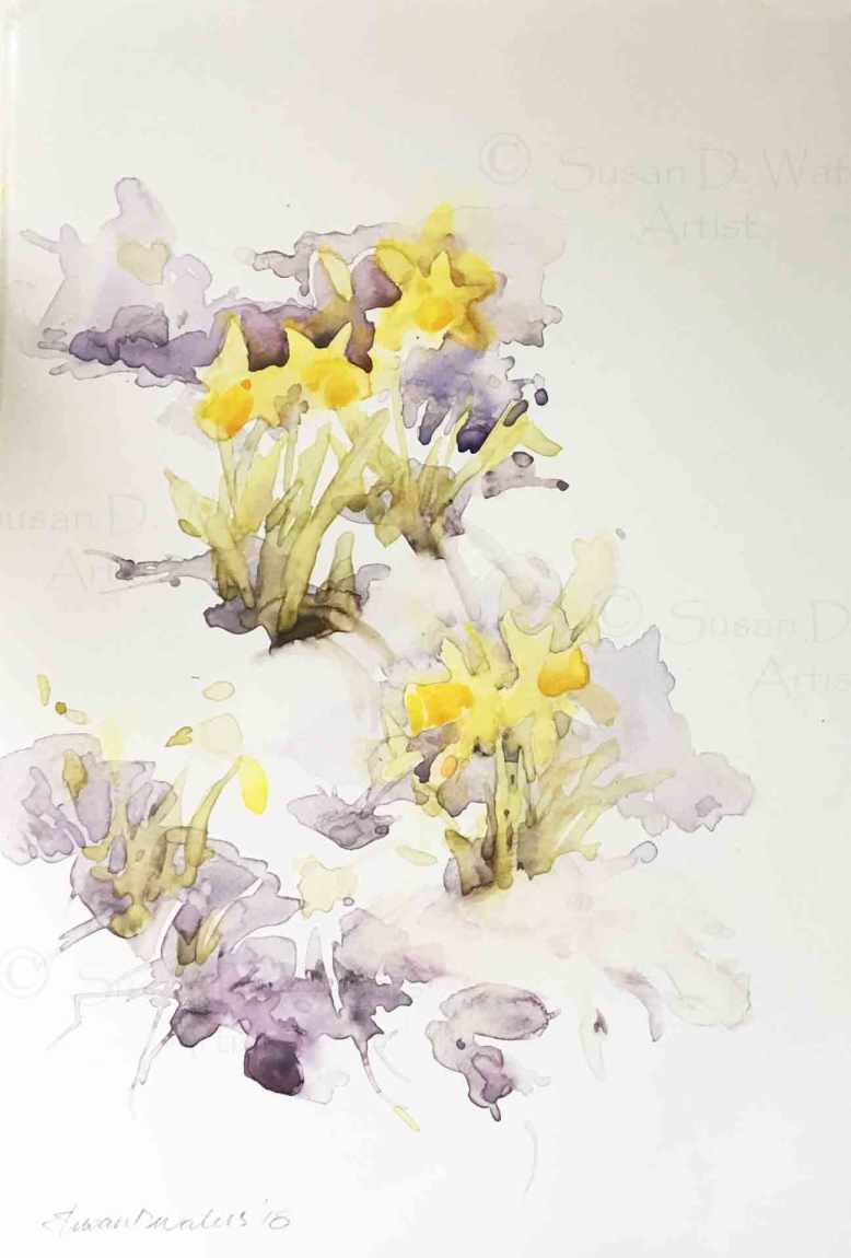 Daffodils-in-Snow-I,-Susan-Duke-Waters