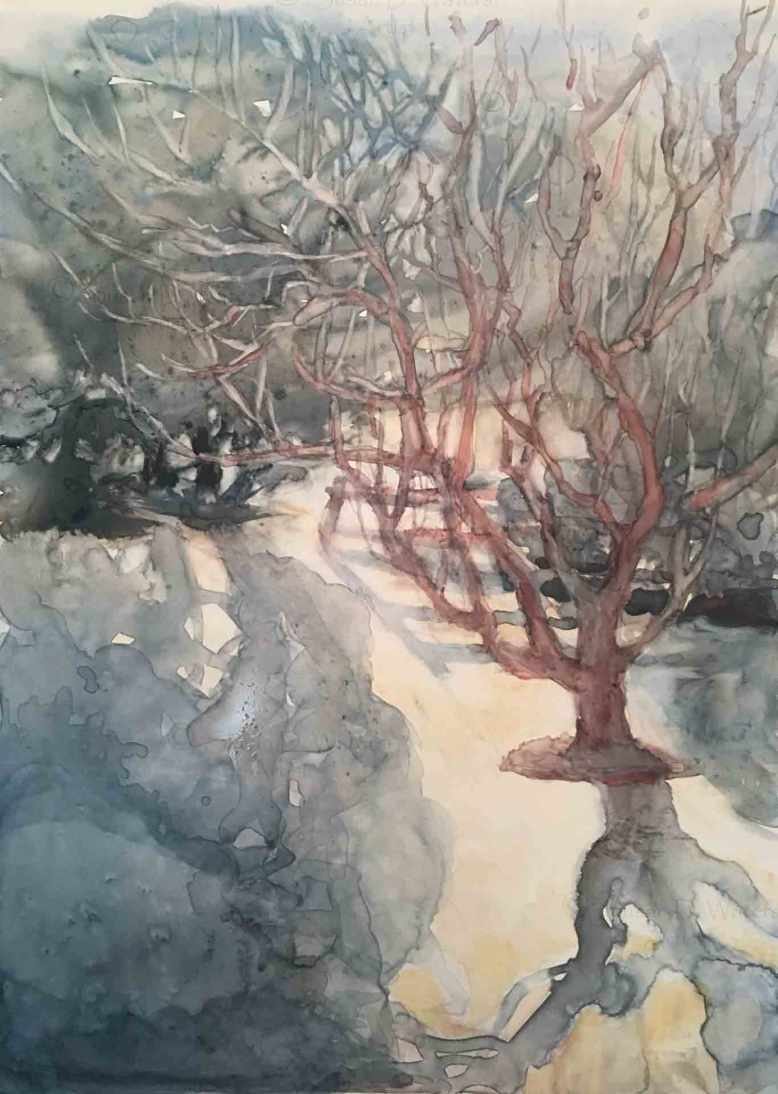 Frosted-Daybreak,-Susn-Duke-Waters