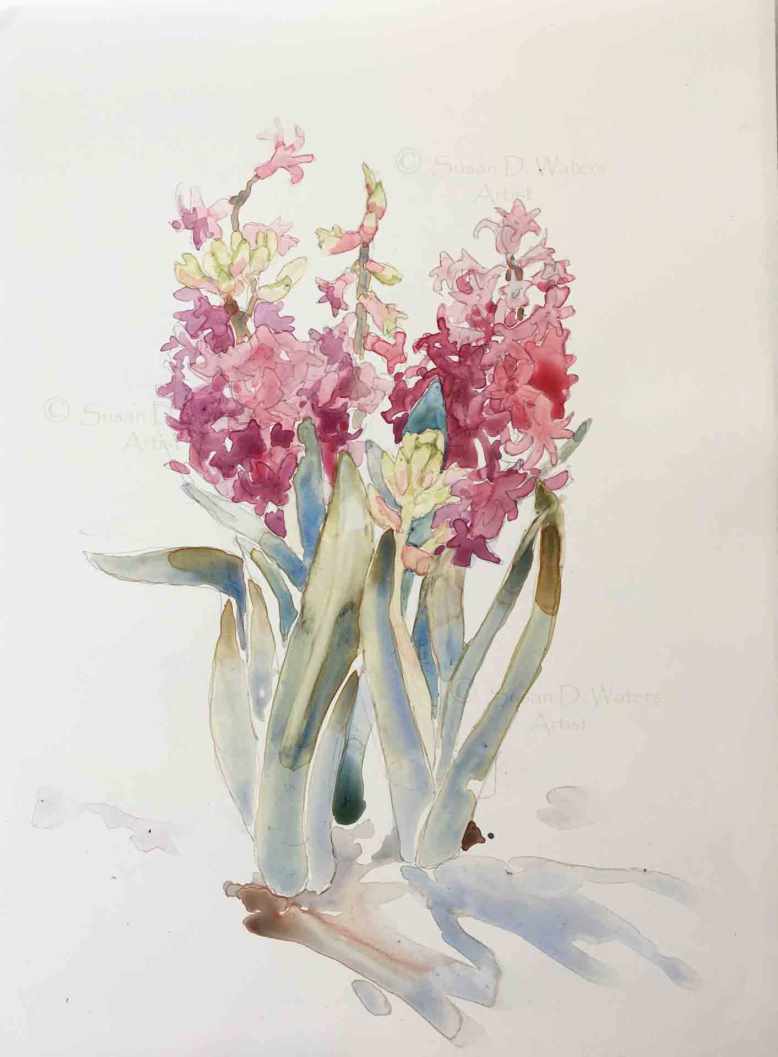 Hyacinths-in-Snow-II,-Susan-Duke-Waters