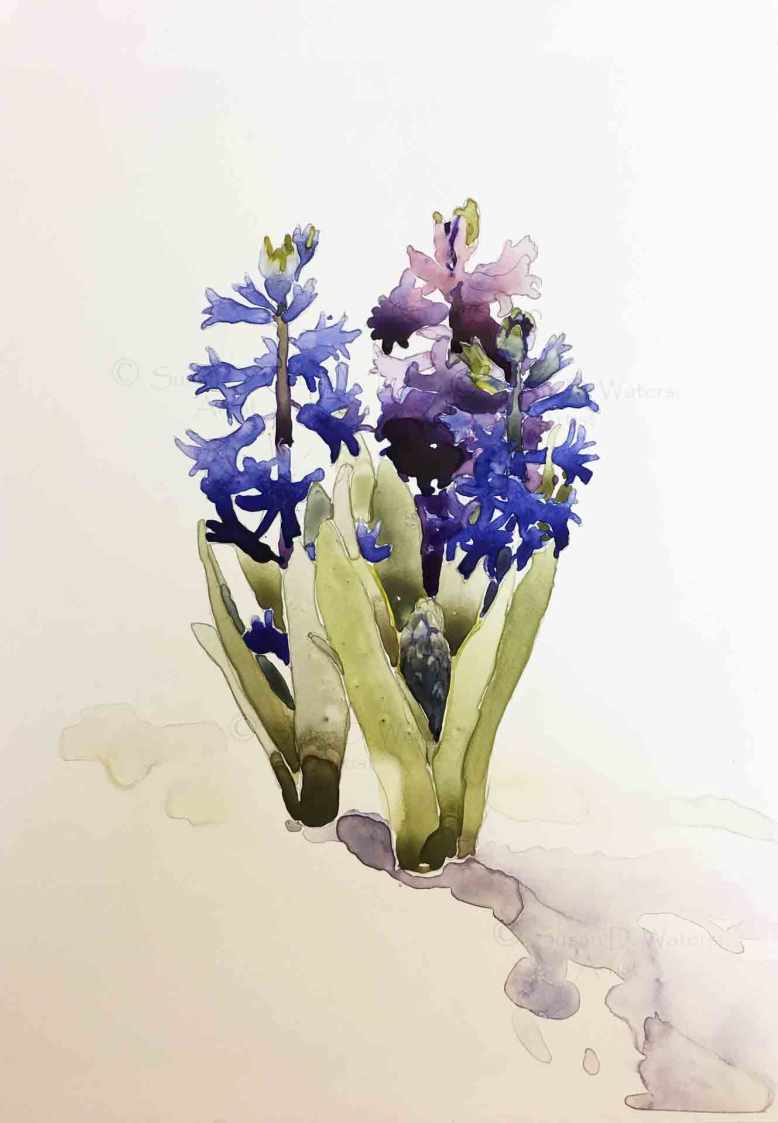 Purple-Hyacinths-in-Snow-II,-Susan-Duke-Waters