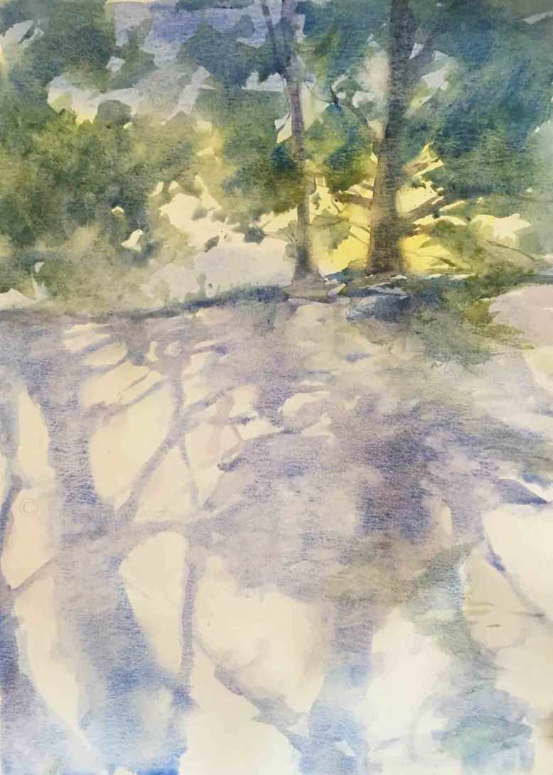 Sun-Lit-Trees,-Susan-Duke-Waters