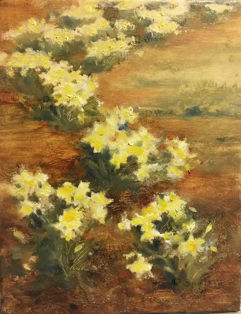 Daffodils-and-Pinestraw,-Susan-Duke-Waters