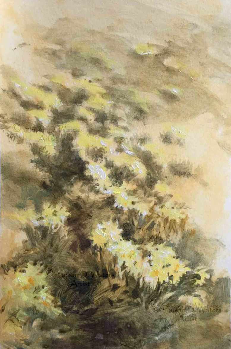 Dafodil-Field-I,-Susan-Duke-Waters