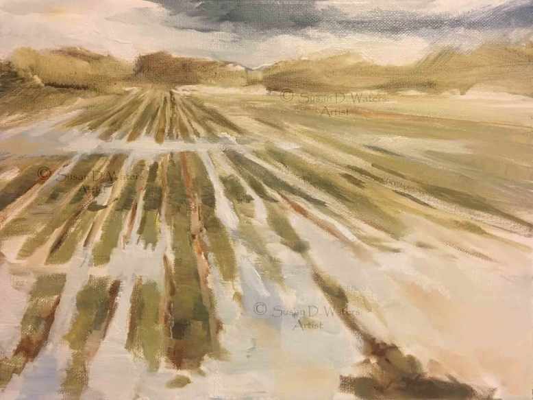 Flooded-Field-I,-Susan-Duke-Waters