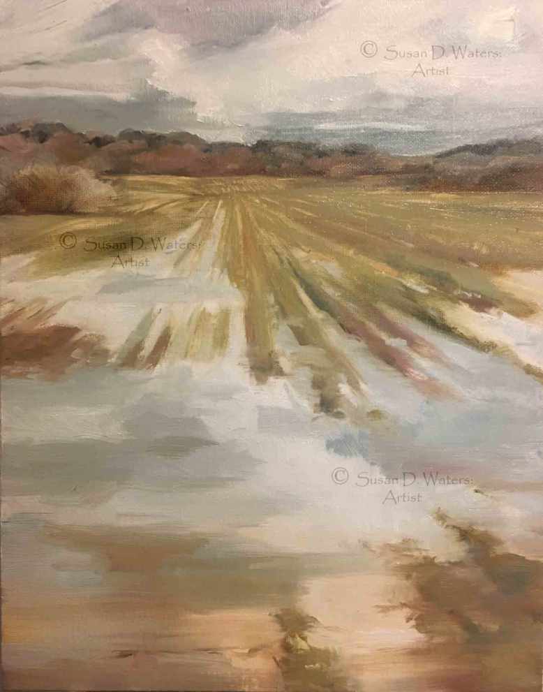 Flooded-Field-II,-Susan-Duke-Waters