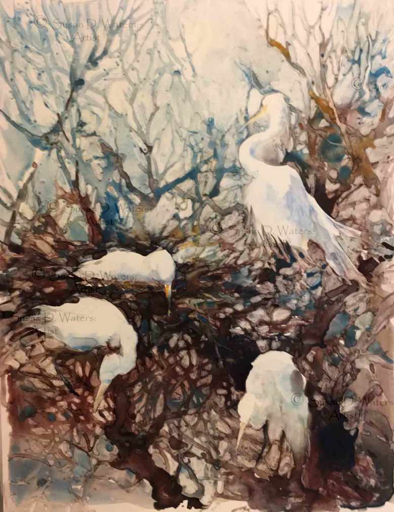 Hedge-of-Egrets,-Susan-Duke-Waters