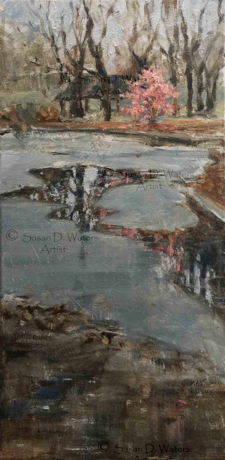 Seaborn-Jones-Park-in-Puddles,-Susan-Duke-Waters