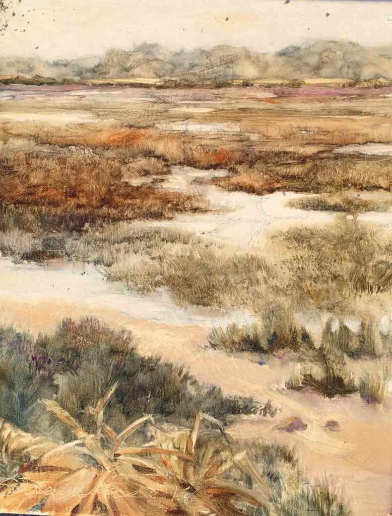Edisto-Salt-Marsh,-Susan-Duke-Waters