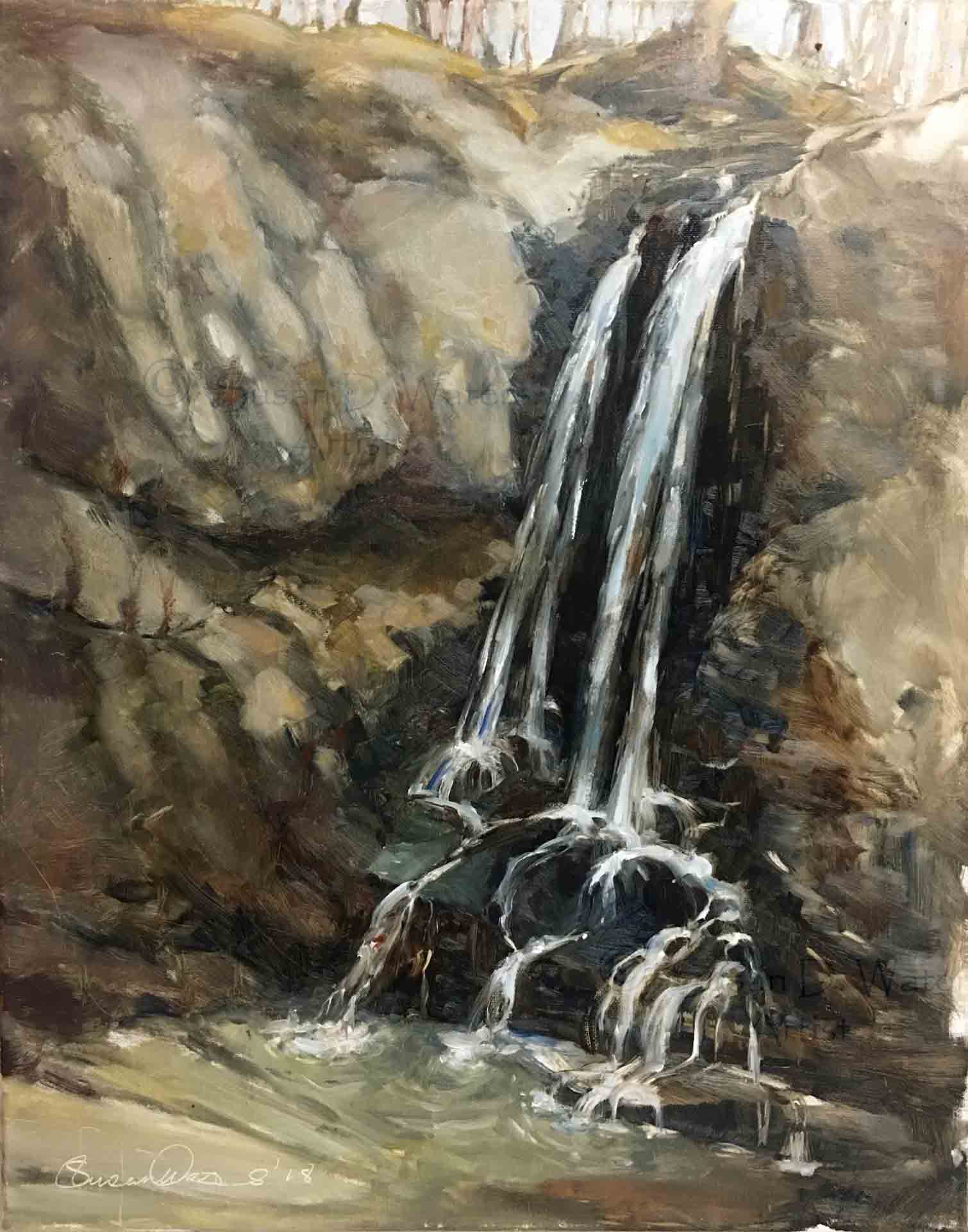 High-Shoals-Waterfall,-Susan-Duke-Waters