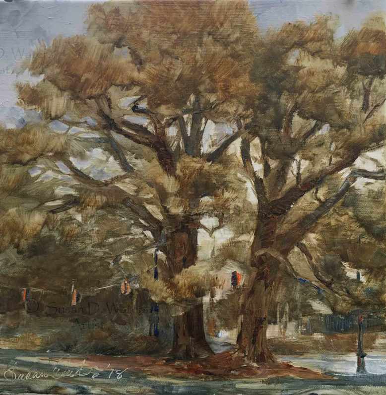 Linear-Park-Oaks,-Susan-Duke-Waters