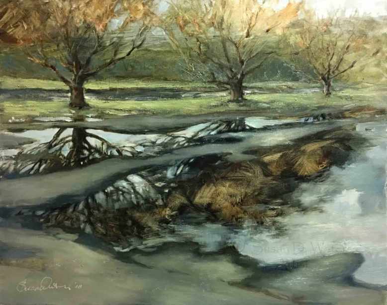 Parking-Lot-Puddles,-Susan-Duke-Waters