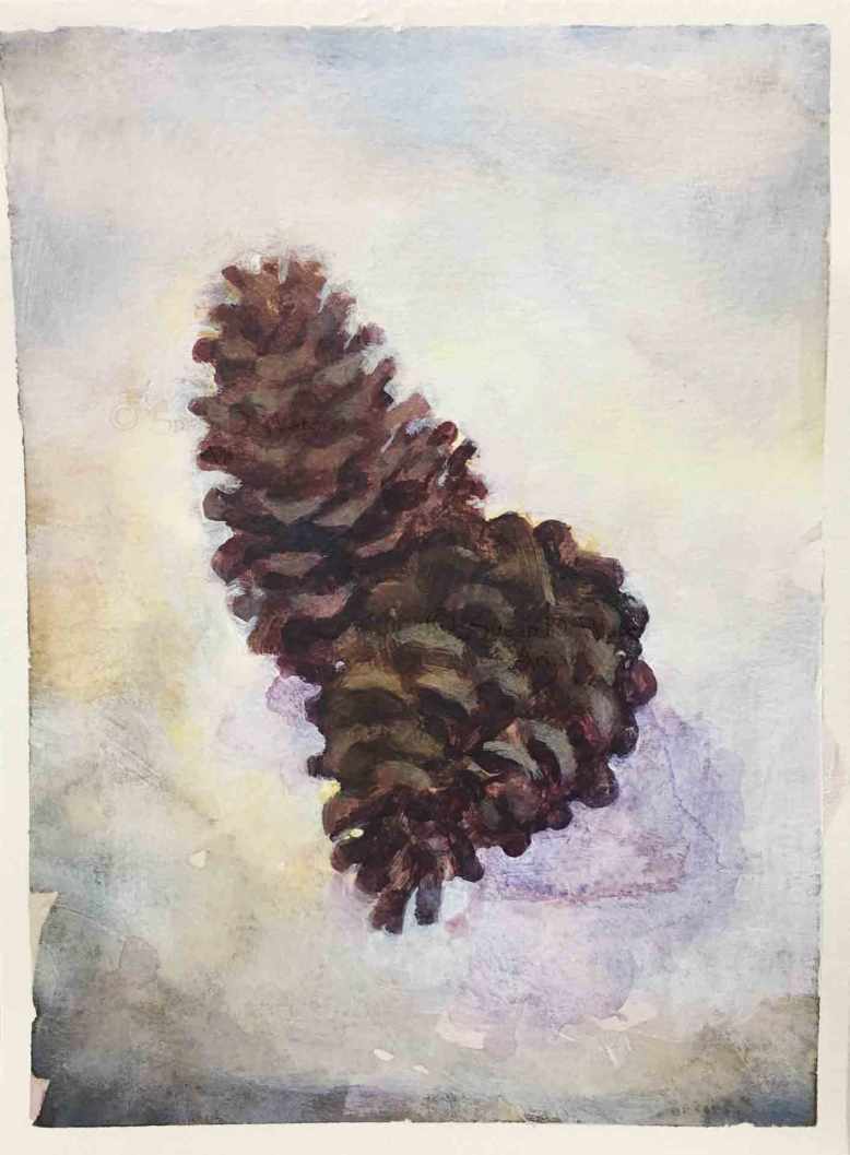 Pine-Cones,-Susan-Duke-Waters
