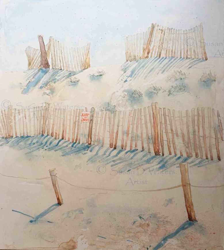 Preserving-the-Dunes,-Susan-Duke-Waters