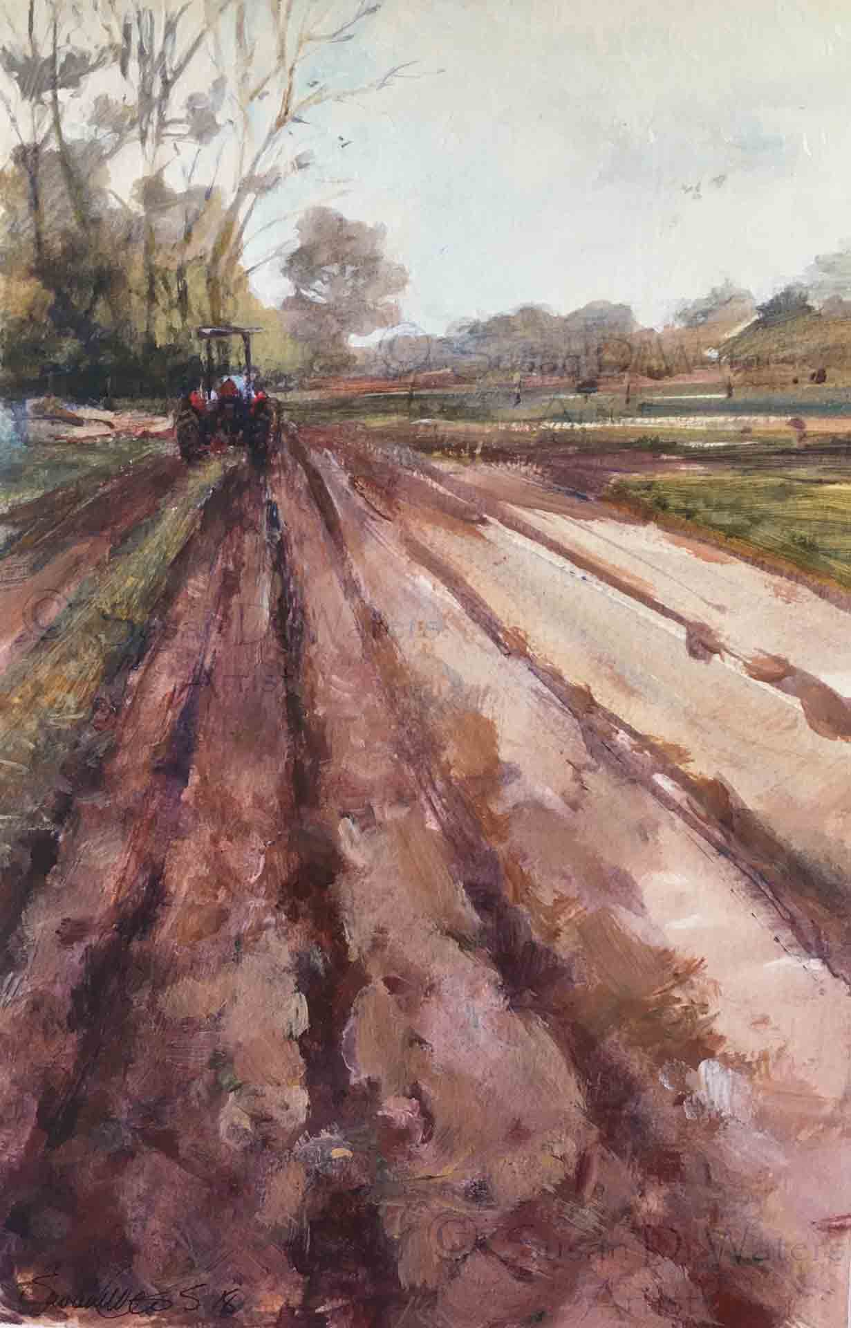 Spring-Plowing,-Susan-Duke-Waters