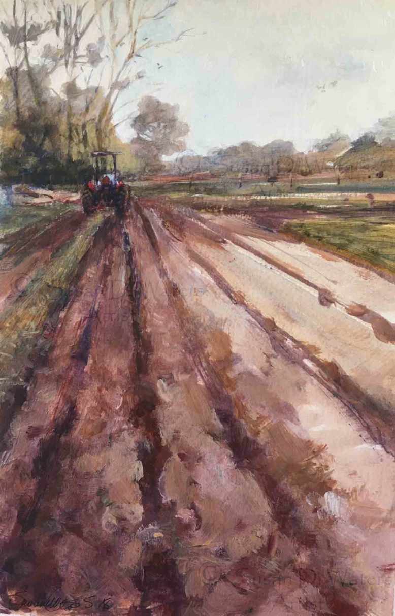 Spring-Plowing,-Susan-Duke-Waters