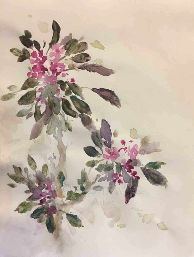 Crabapple-Blossoms,-Susan-Duke-Waters