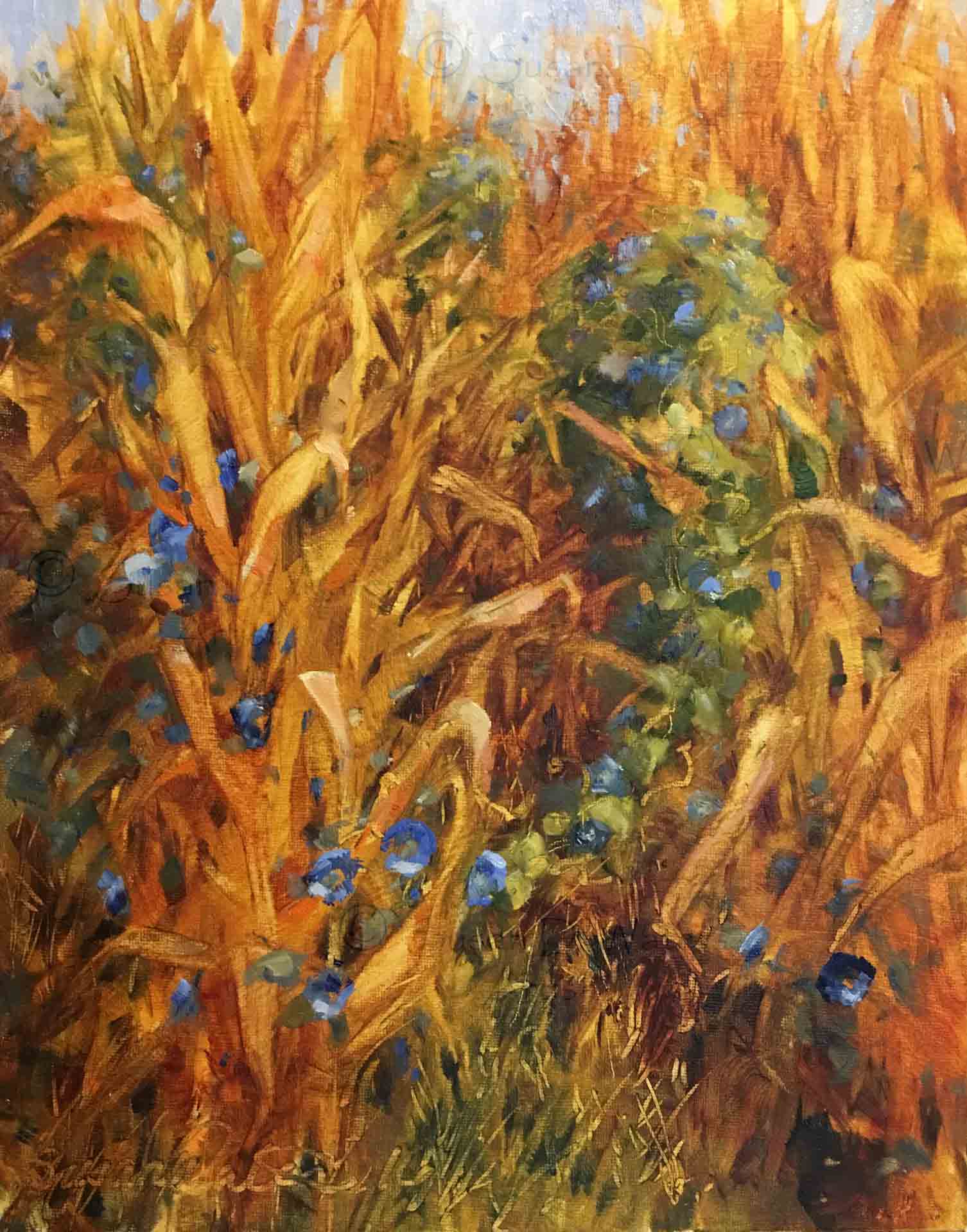 Corn-Flowers,-Susan-Duke-Waters
