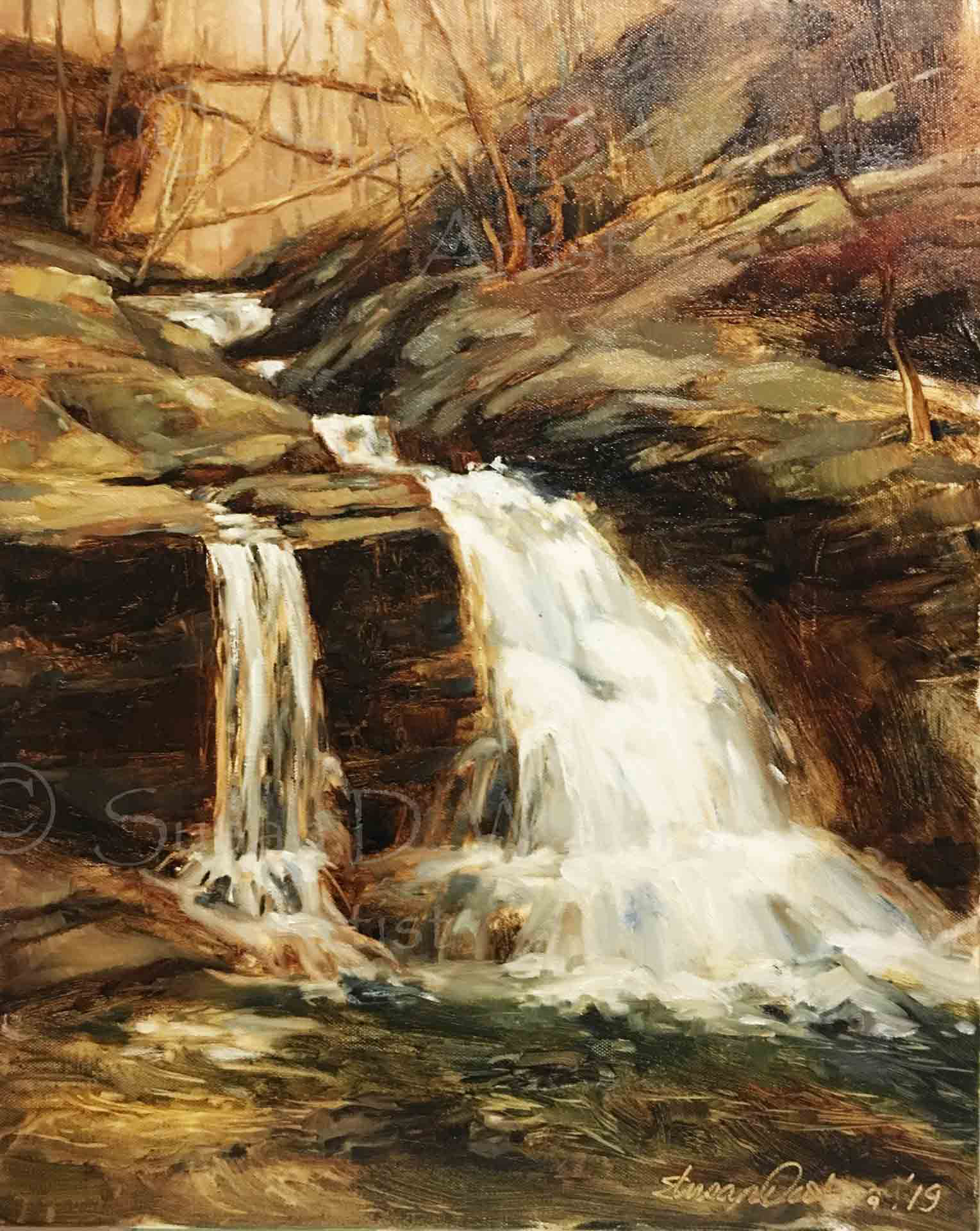 Sinpson Falls, Susan Duke Waters
