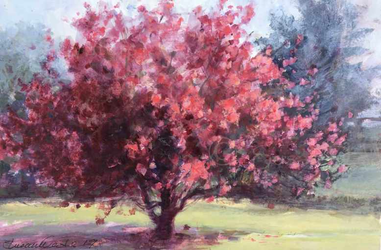 Crabapple-in-Bloom,-Susan-Duke-Waters