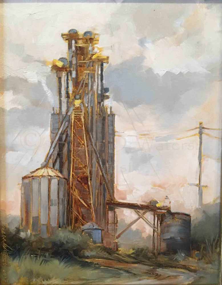 Towers-Over-Eatonton,-Susan-Duke-Waters