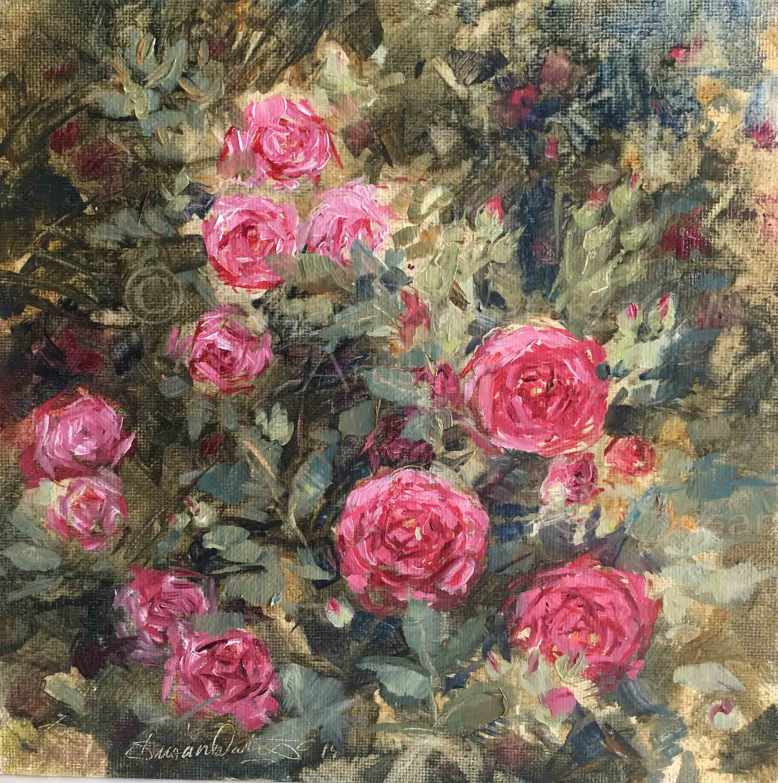 Front-Step-Roses,-Susan-Duke-Waters