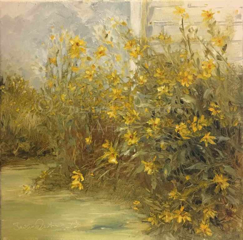 Helianthus-Maximiliani,-Susan-Duke-Waters