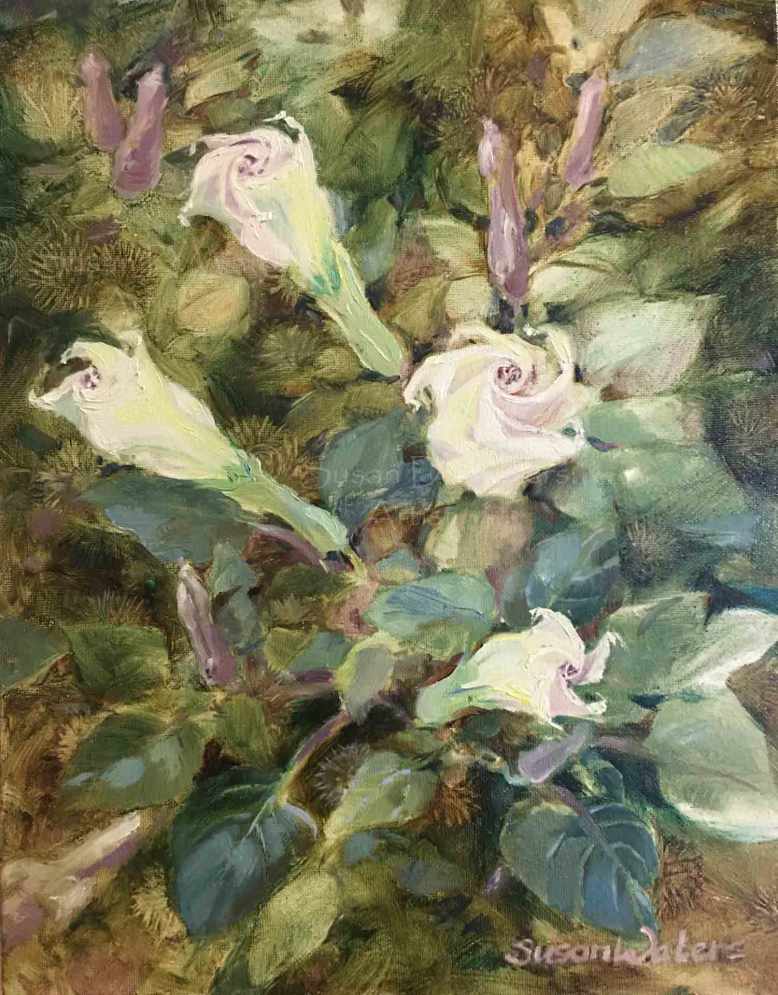 Datura, Susan Duke Waters