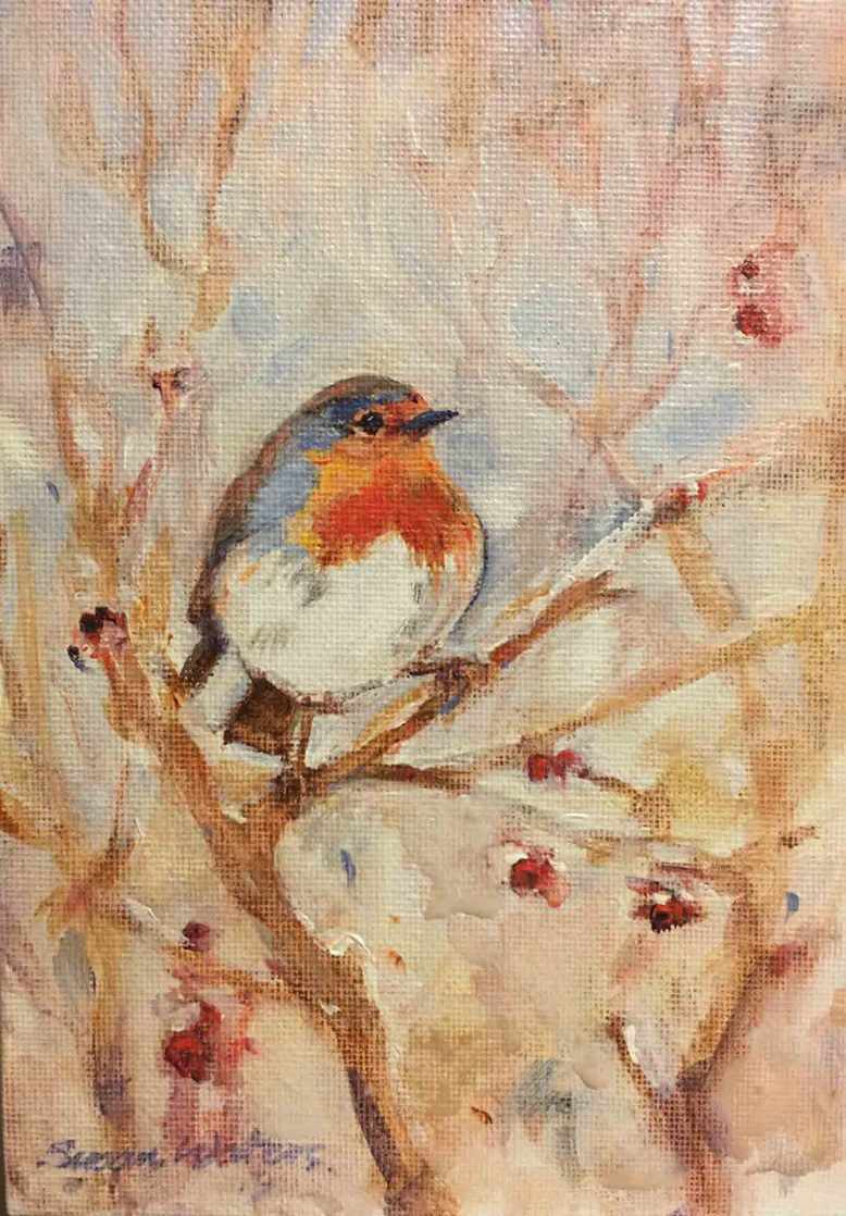 European-Robin,-Susan-Duke-Waters