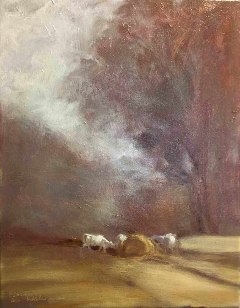 Winter-Charolais,-Susan-Duke-Waters