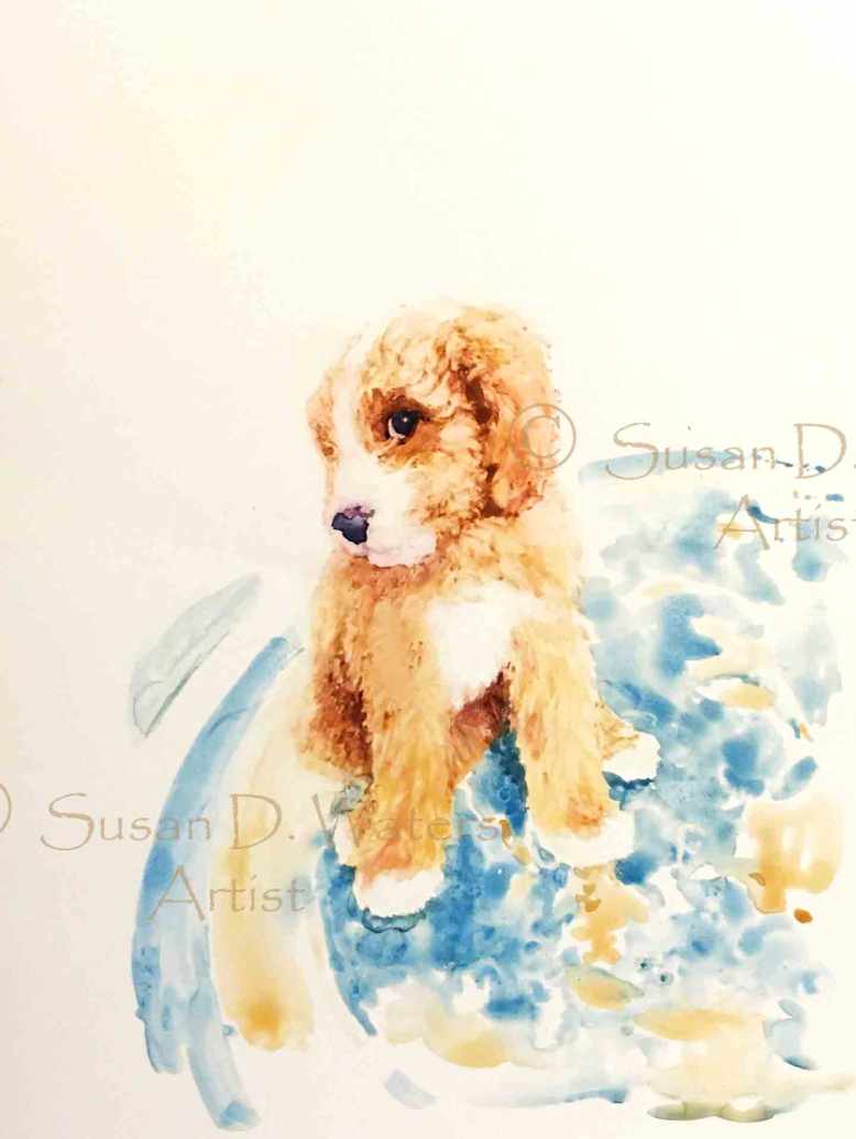 GodenDoodle,-Susan-Duke-Waters