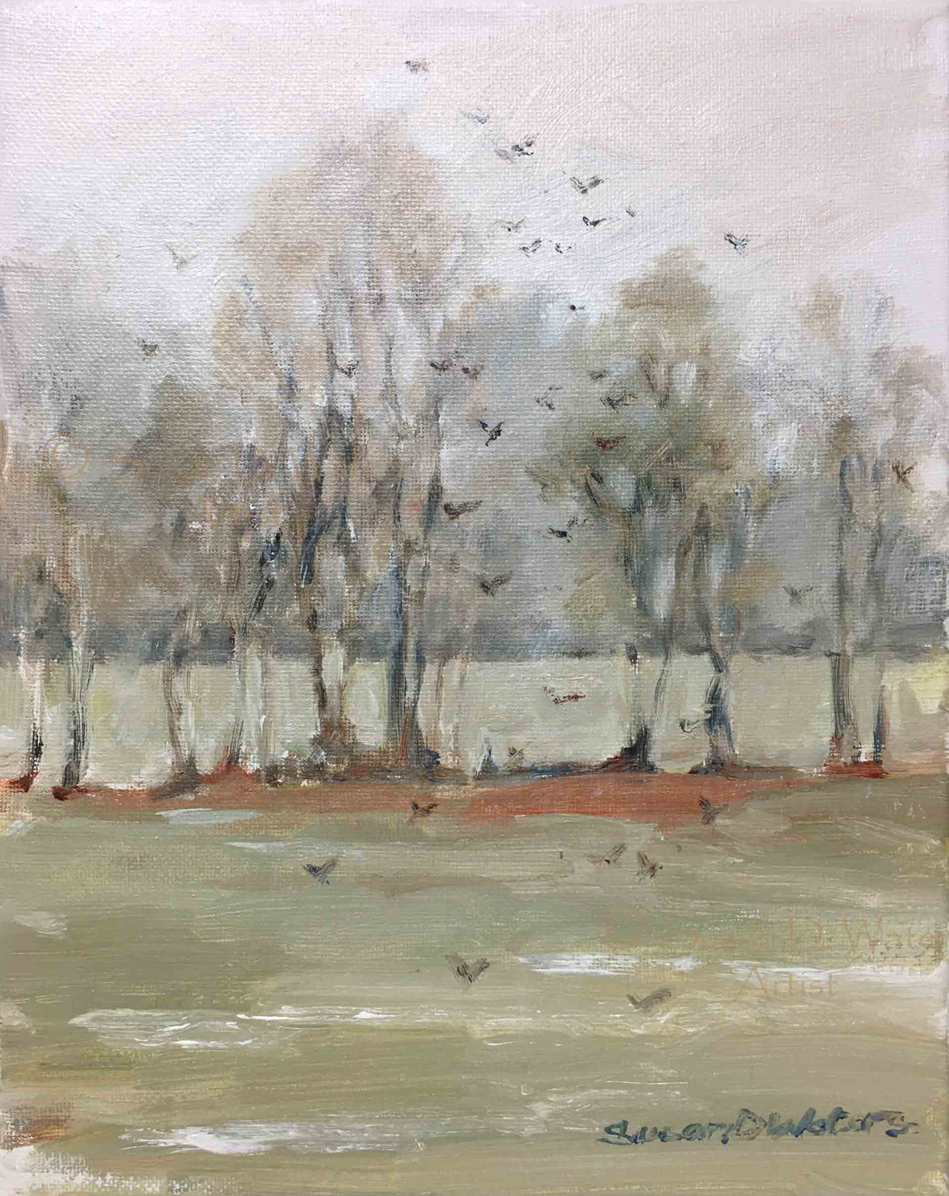 Starlings-in-Rain,-Susan-Duke-Waters