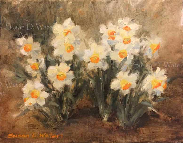 Daffodils-V-Susan-Duke-Waters