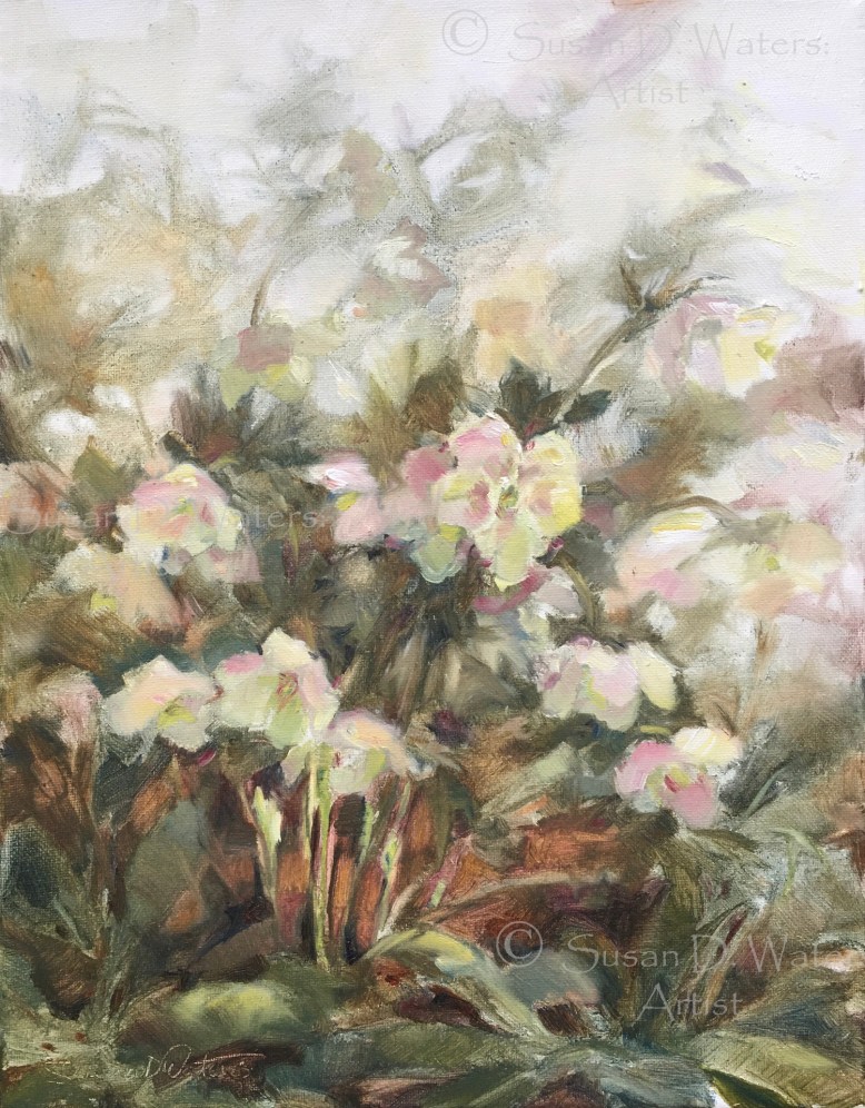 Hellebores, Susan Duke Waters