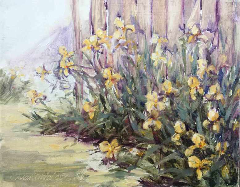 Yellow-Iris,-Susan-Duke-Waters