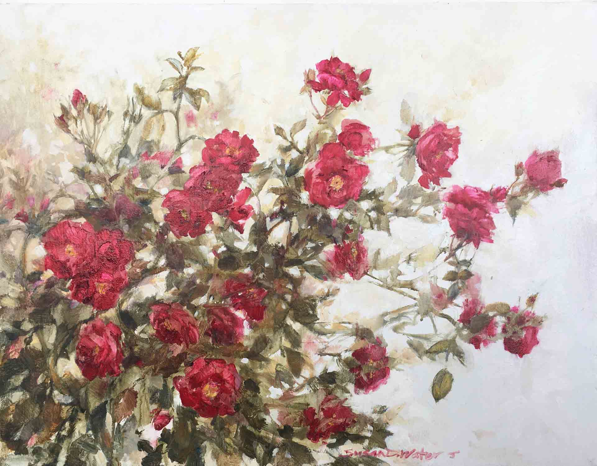 Dr. Huey Rootstock, Susan Duke Waters