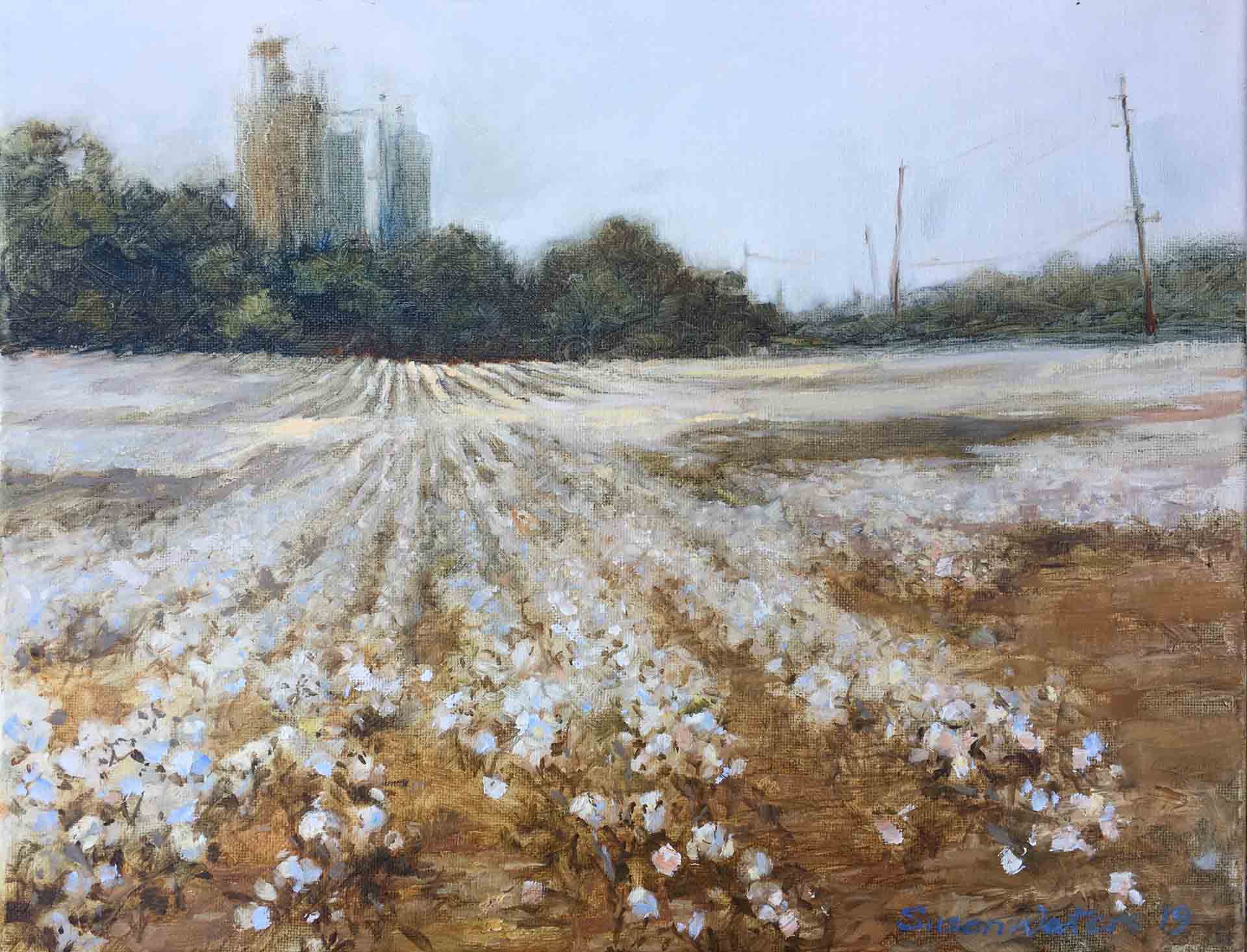 Cotton-Field-GA-Hwy-101,-a,Susan-Duke-Waters