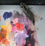 Eyed-Click-Beetle,-Susan-Duke-Waters