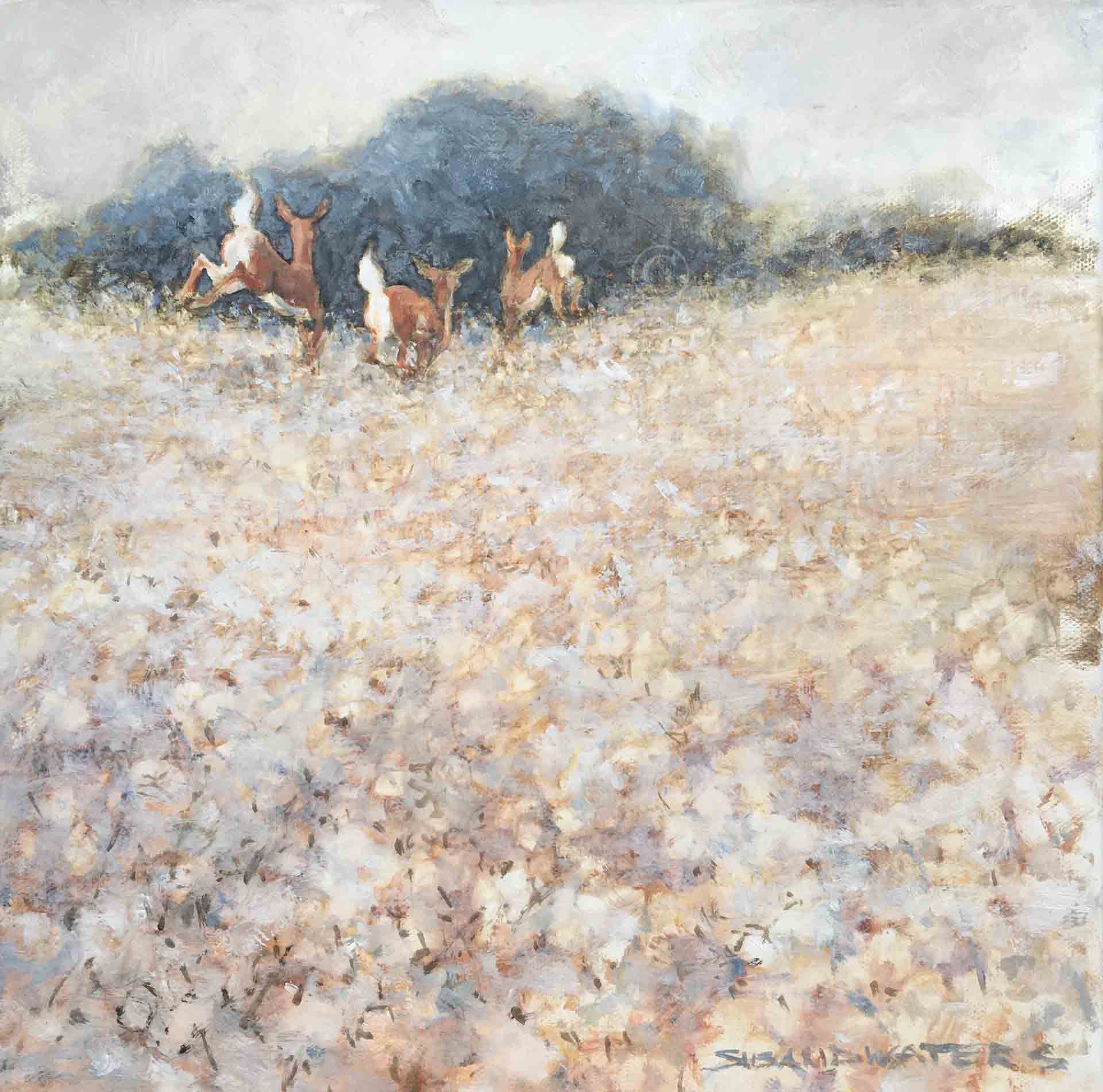 Cotton-Tales,-Susan-Duke-Waters